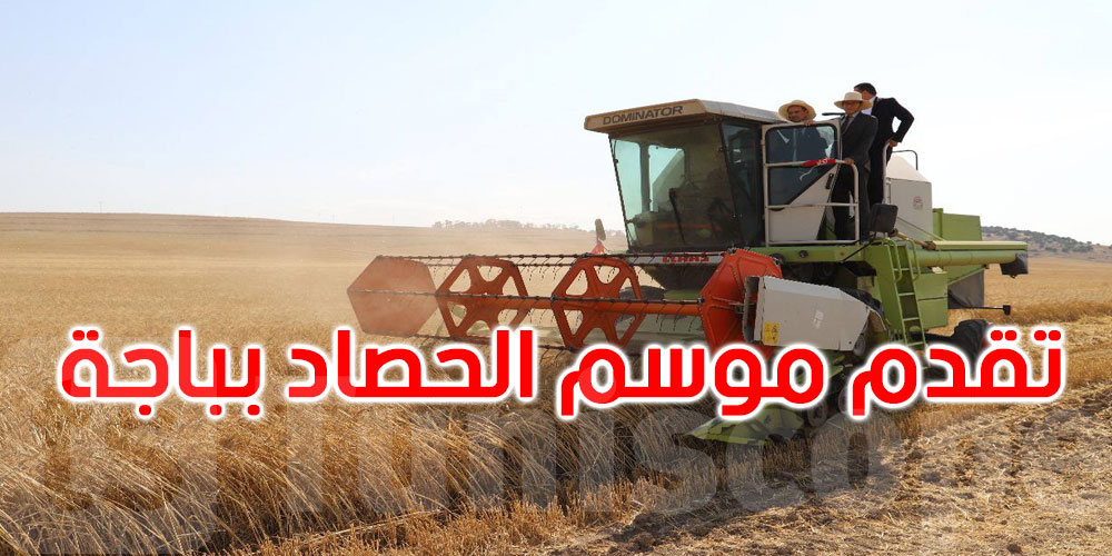  باجة: نسبة تقدم الحصاد بلغت 40%.