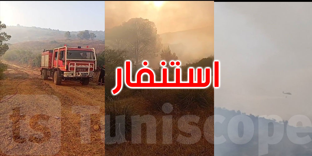 باجة:  تواصل مجهودات إخماد حريق جبل أولاد علية بمشاركة جيش الطيران 