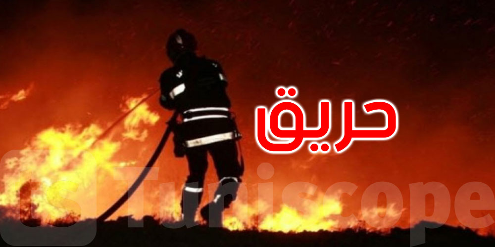 باجة: اندلاع حريق في جبل عين جمال