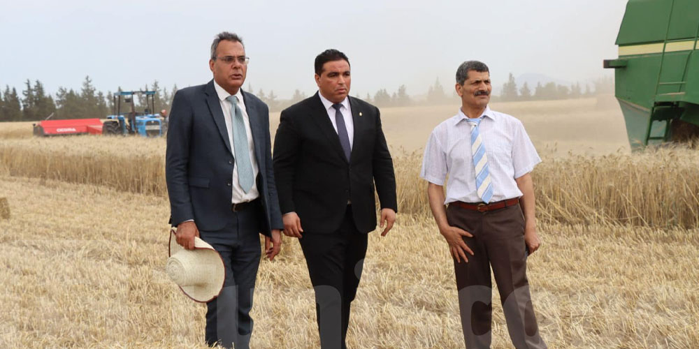 اليوم : إفتتاح موسم الحصاد الجهوي بولاية بن عروس