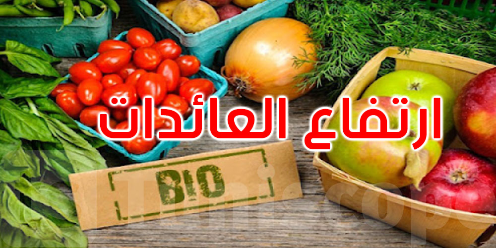 ارتفاع عائدات صادرات المنتجات الفلاحية البيولوجية بـ9.7 بالمائة