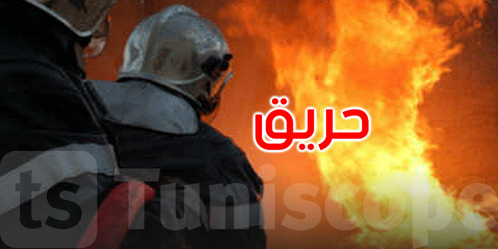 بنزرت: السيطرة على حريق اندلع بمنتزه وسط غابة الرمال
