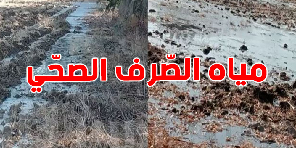  كارثة بيئيّة في بنزرت: مياه الصرف تغمر 4 هكتارات من الأراضي الفلاحية في هذه المنطقة