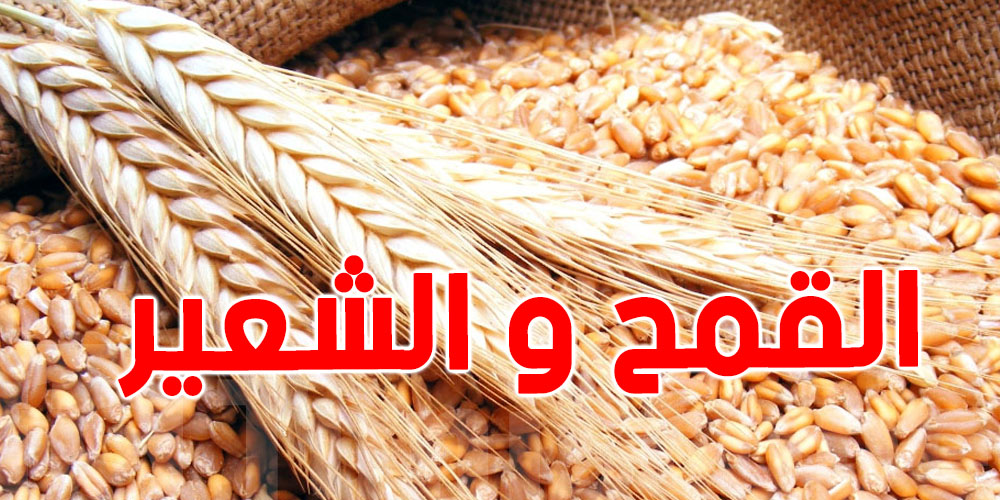 تونس تشتري القمح و الشعير في مناقصة دولية 