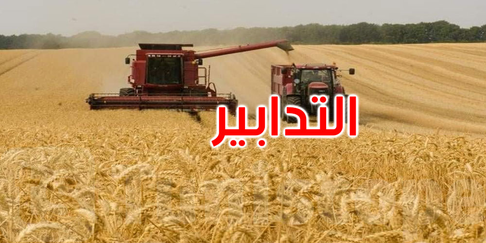 إجراءات وتدابير لتأمين صابة الحبوب لهذا الموسم: التفاصيل