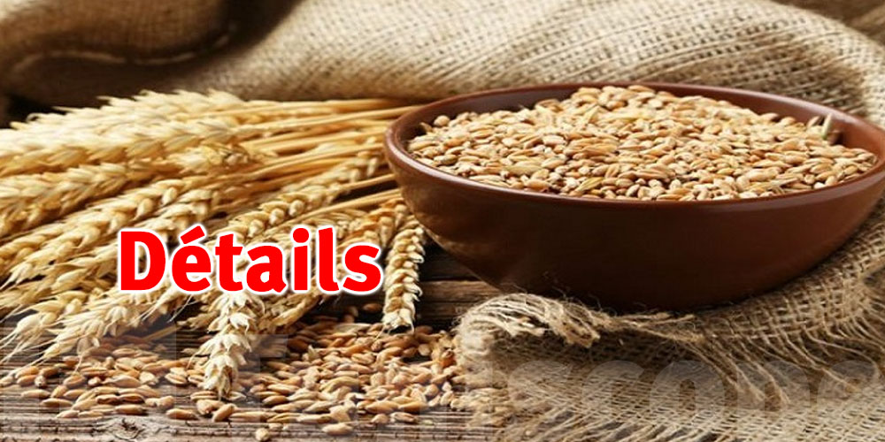 La Tunisie lance un appel d'offres international pour l’achat de 100000 tonnes de blé