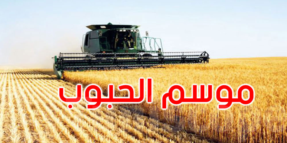 تقدم موسم تجميع الحبوب لصابة 2025: 682.190 ألف قنطار إلى غاية 2 جوان 
