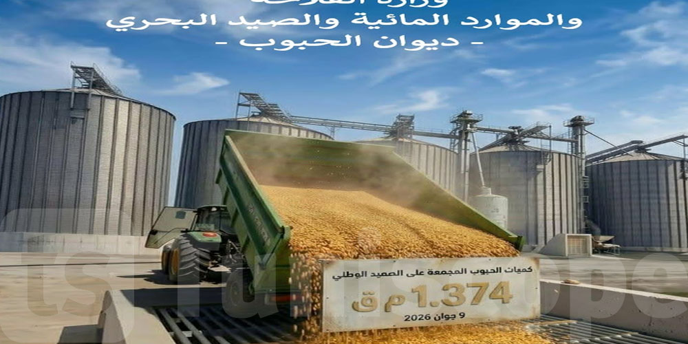 موسم الحبوب: القيروان تعطي إشارة البداية… ونسق التجميع في تصاعد 