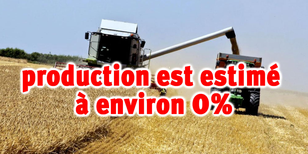 La Tunisie importera 100% de ses besoins en céréales