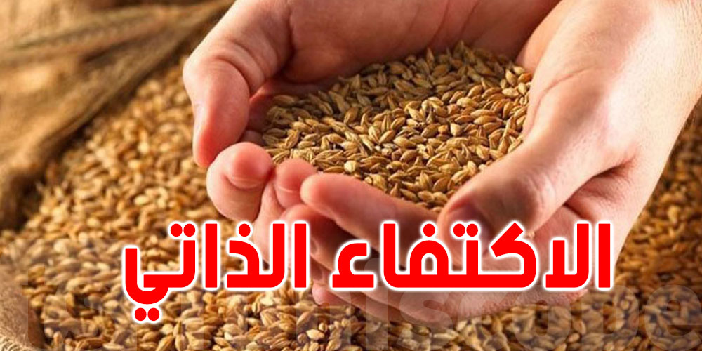 ''وزير الفلاحة  ''سنحقق الإكتفاء الذاتي من القمح