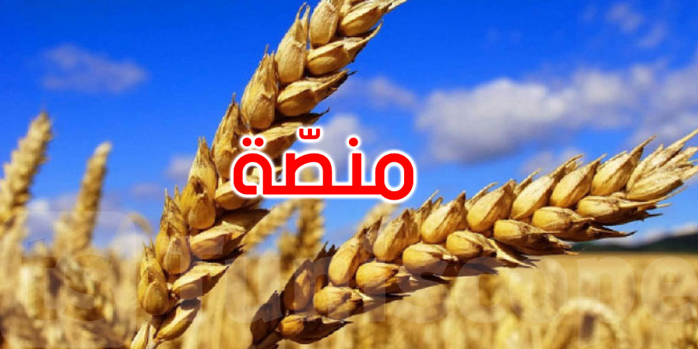 تونس تطلق المنصّة الوطنية لرصد الأمن الغذائي foodsecurity.tn