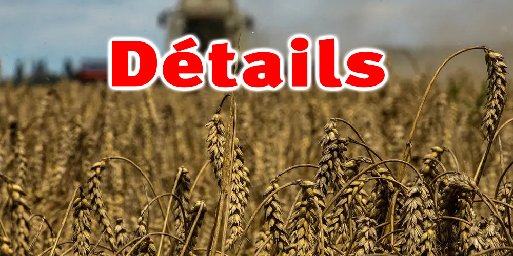 La Tunisie achète du blé dur et de l'orge dans une enchère internationale, selon Al Arabiya