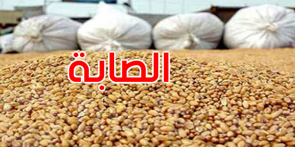 تونس تتجاوز معدل السنوات الخمس الأخيرة: تجميع أكثر من 11,7 مليون قنطار من الحبوب