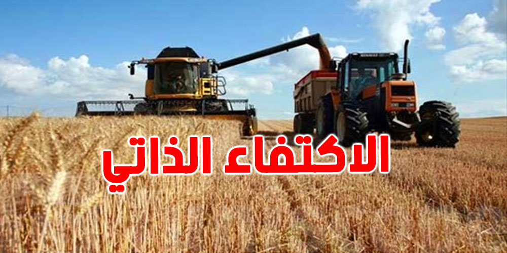 ديوان الحبوب : طاقة التجميع تصل لـ 7.6 مليون قنطار