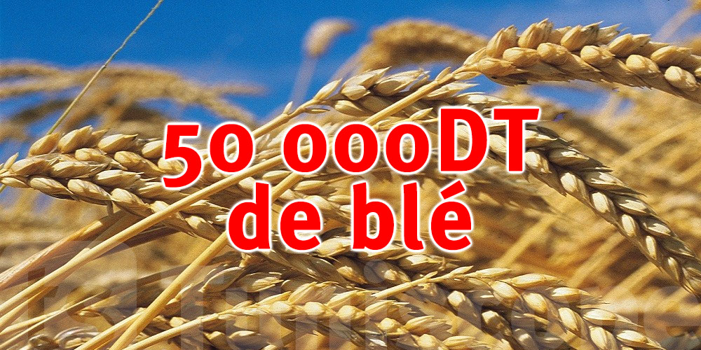 La Tunisie postule à l’achat 50 000t de blé dur financé par la BAD