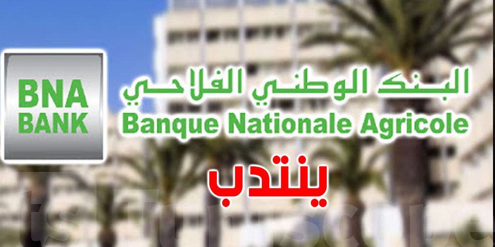 البنك الوطني الفلاحي يعلن عن مناظرة خارجية للانتداب في 22 خطة...شوف الشروط وآخر الآجال