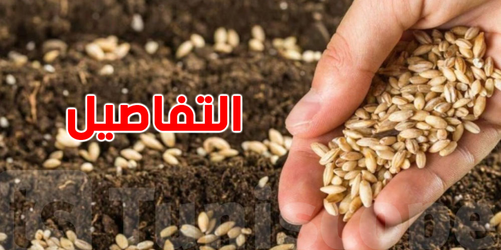 عاجل: وزارة الفلاحة تبدأ توزيع البذور الممتازة والأسمدة للموسم الجديد... كل ما يجب أن يعرفه الفلاح التونسي الآن!