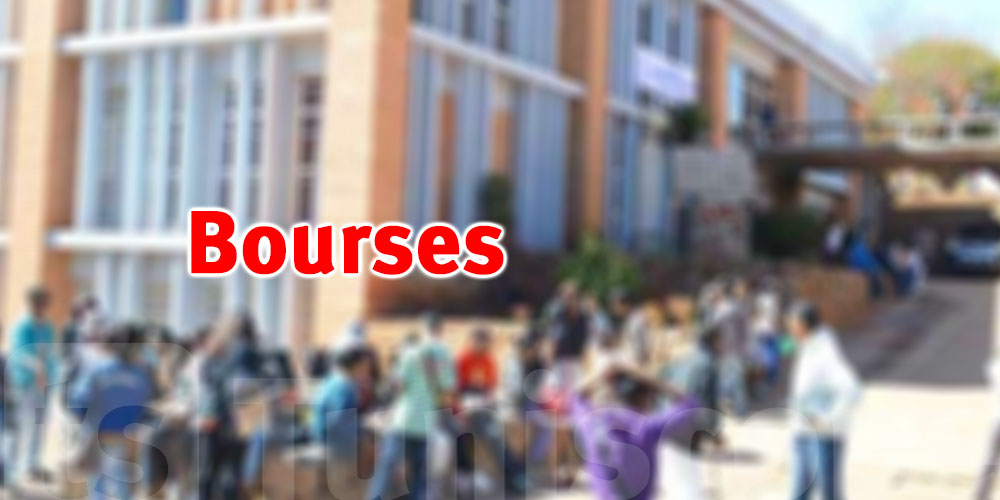 Des bourses d’or pour les Tunisiens : l’Italie, Malte et l’Espagne vous ouvrent leurs universités !
