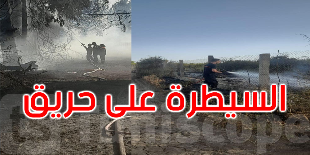 الوسلاتية: السيطرة على حريق أتى على هكتارين من الأعشاب وأشجار الزيتون