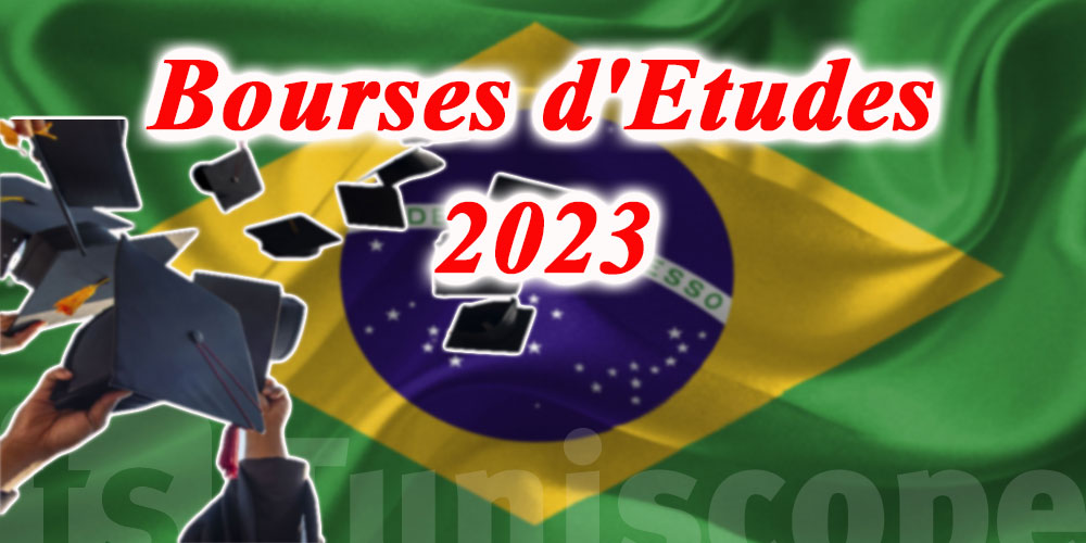 Bourses d'Etudes au Brésil pour l'Année Académique 2023