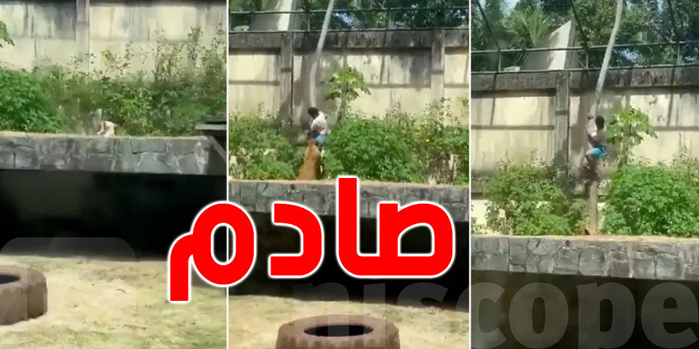 كارثة: لبُؤة تأكل رجلا في حديقة الحيوانات