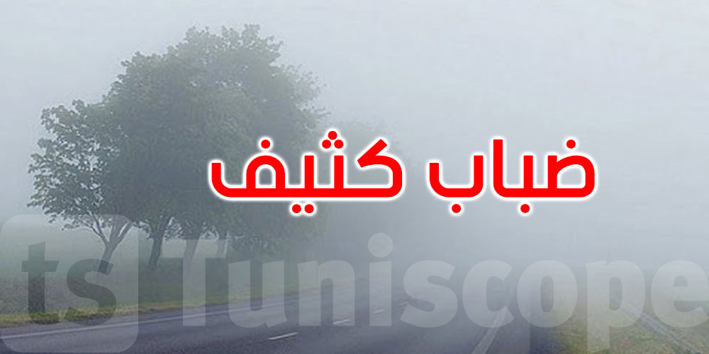 عاجل: الرصد الجوي يحذر من ضباب كثيف الليلة وصباح الغد