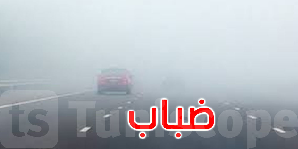 الليلة وصباح الغد: ضباب كثيف يتسبب في انخفاض مدى الرؤية الأفقية