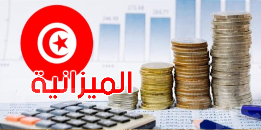 وزيرة المالية: ميزانية الدولة سجلت فائضا بنحو 2 مليار دينار إلى موفى مارس