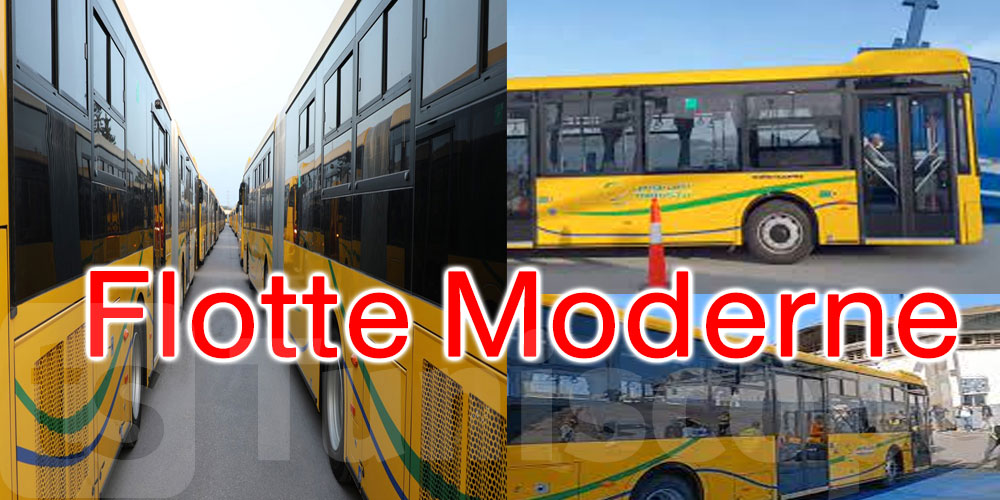 Tunisie : Mise en Service des Premiers Bus Chinois Neufs