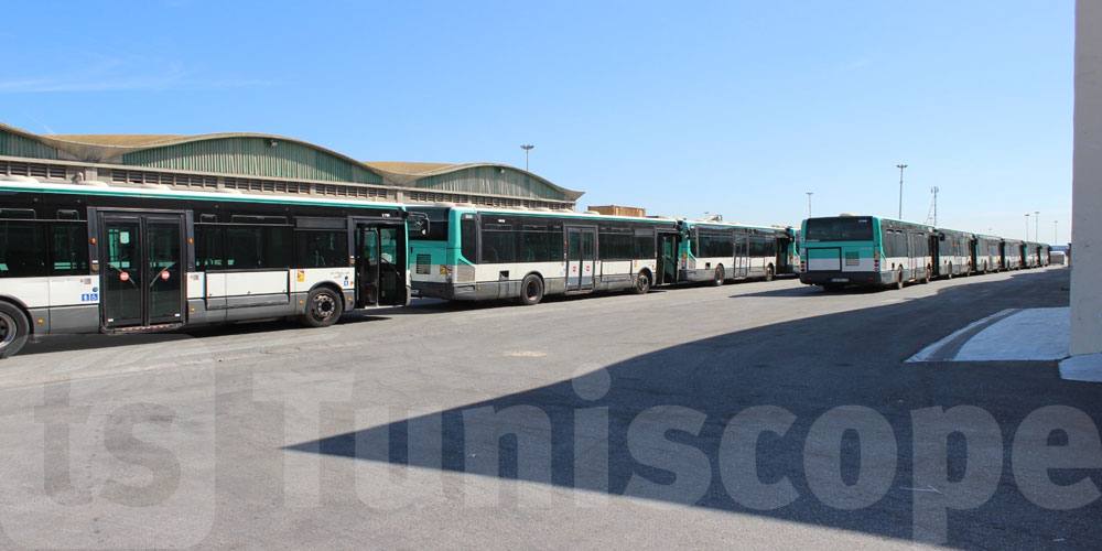 Renforcement de la flotte : 75 nouveaux bus pour la Société de transport de Tunis 