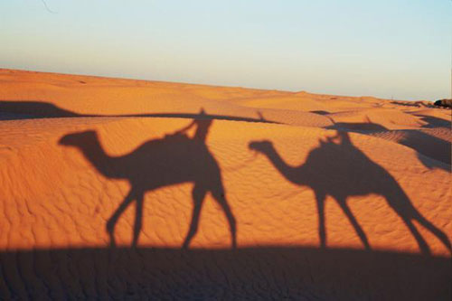 Ksar Ghilane : porte du Sahara