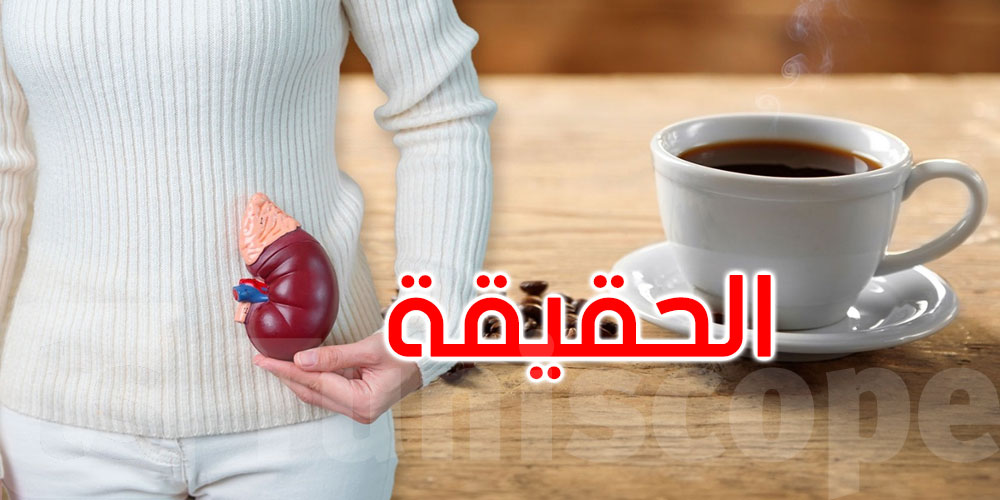 هل القهوة تضر الكلى؟ دراسة تكشف مفاجأة لعشاقها