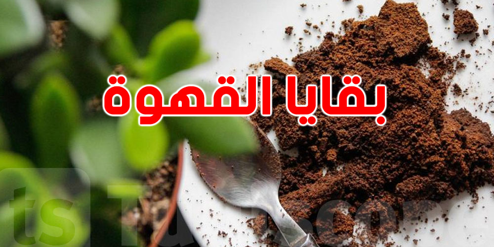 ما ترميش بقايا القهوة: أسرار كبيرة