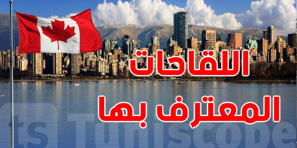يهم التونسيين أيضا: كندا أصبحت تسمح بدخول المسافرين المطعمين بهذه اللقاحات يهم التونسيين أيضا: كندا أصبحت تسمح بدخول المسافرين المطعمين بهذه اللقاحات