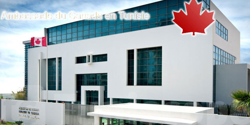 Chef de cuisine recherché par l’ambassade du Canada en Tunisie : tous les détails