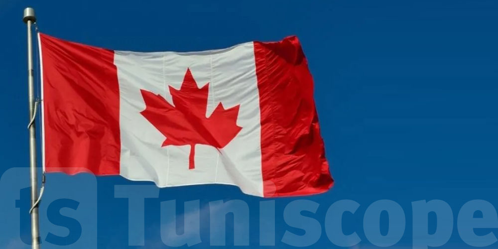 Étudiants ingénieurs tunisiens : 30 bourses à saisir pour étudier au Canada !