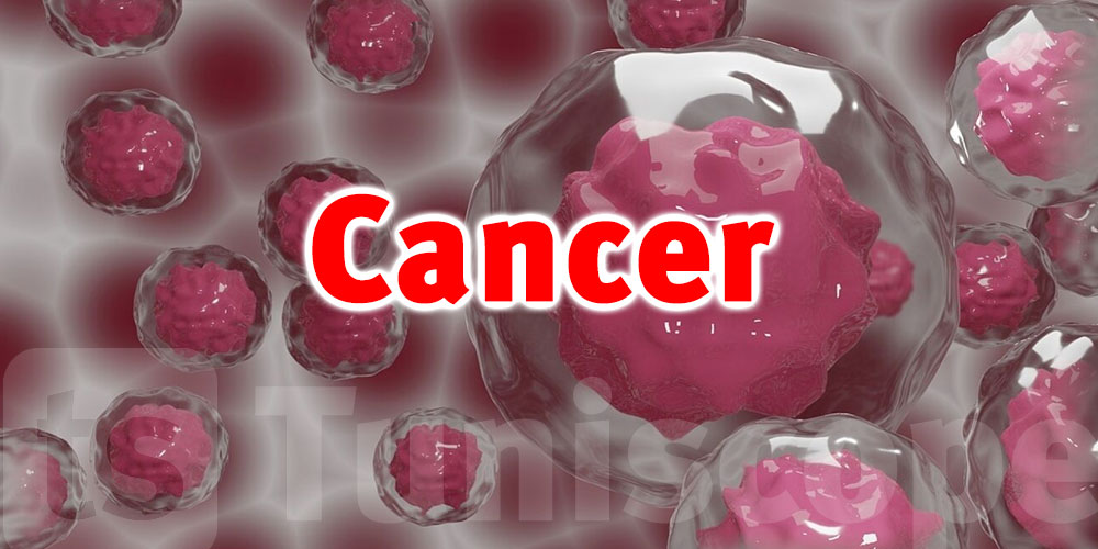  Cancer : La Tunisie réaffirme l’importance de la prévention et du dépistage
