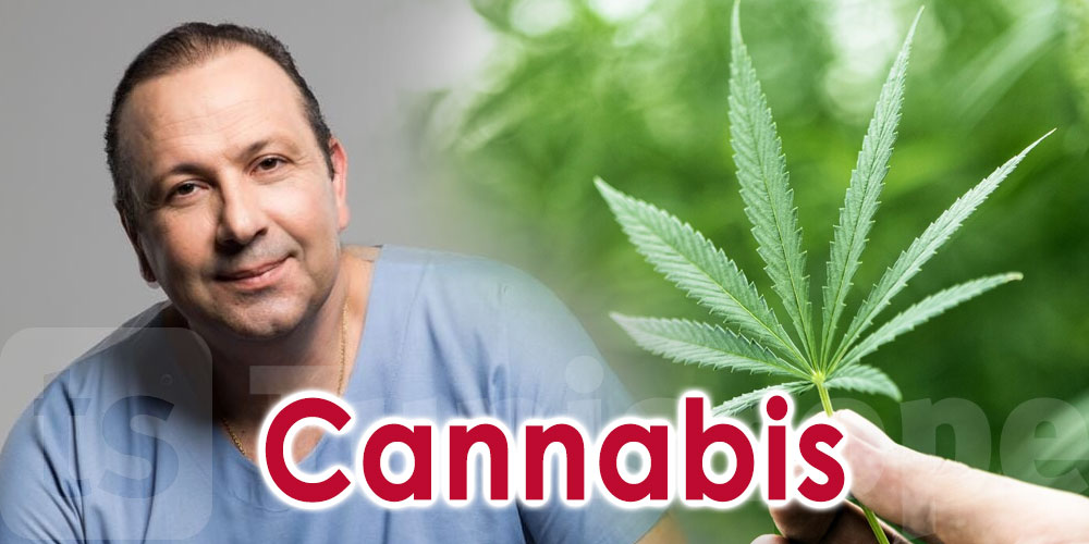 5 raisons de légaliser le cannabis selon Dr Borhane Belkhiria