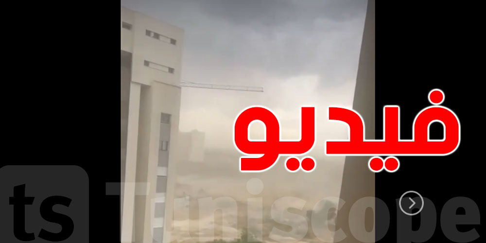 عاصفة ترابية تضرب حدائق قرطاج... وتحذيرات من سحب رعدية ورياح قوية