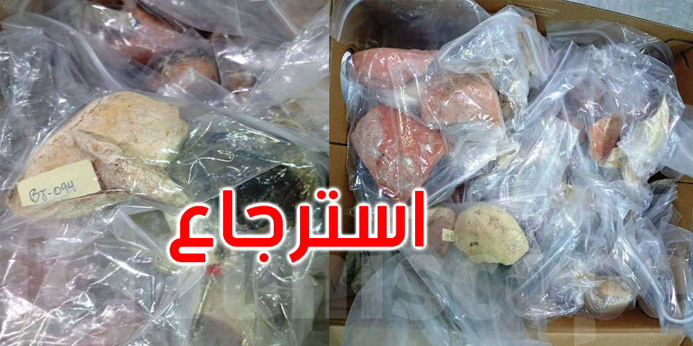   معهد التراث يسترجع 210 قطع أثرية من كندا تعود إلى حفريات قرطاج 