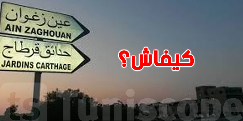 مقاسم في حدائق قرطاج وعين زغوان تتباع بالمزاد العلني: فرصة ذهبية للاستثمار