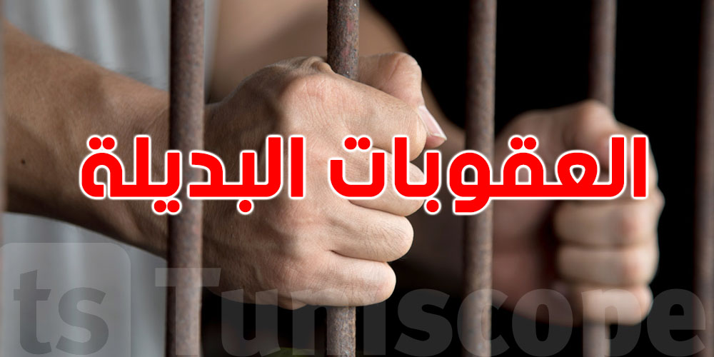 عاجل: العقوبات البديلة لا تشمل هذه الجرائم… توضيحات من وزيرة العدل