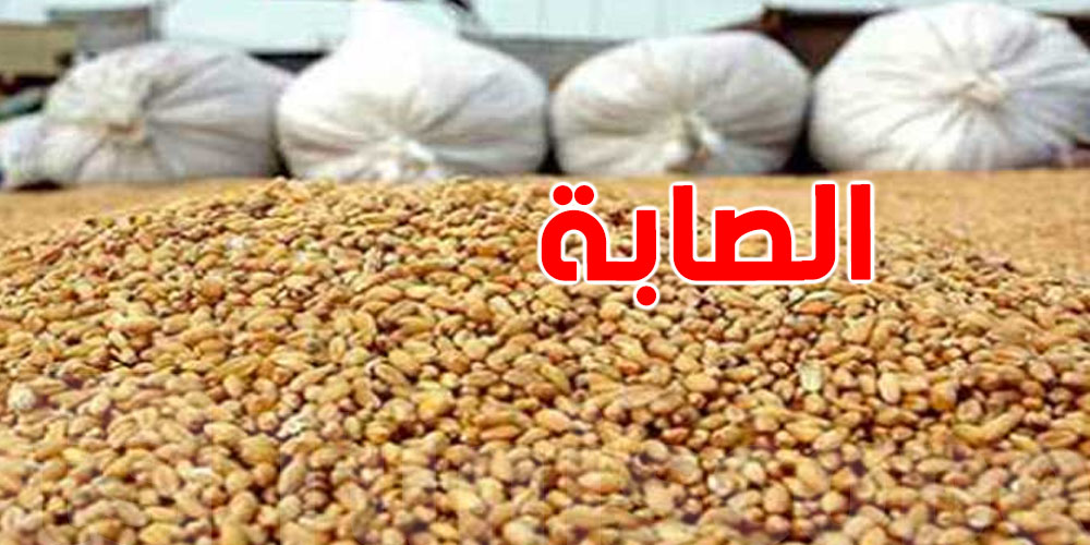 عاجل: نسق تصاعدي في تجميع صابة الحبوب 2025...نحو 18 مليون قنطار 