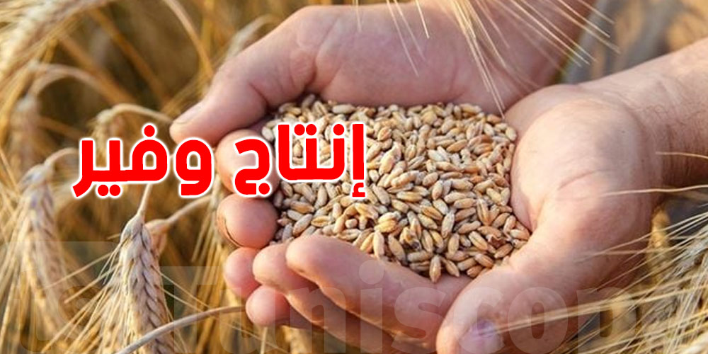 الأمطار تنعش الزراعات الكبرى... لكن الخطر قادم بعد منتصف ماي