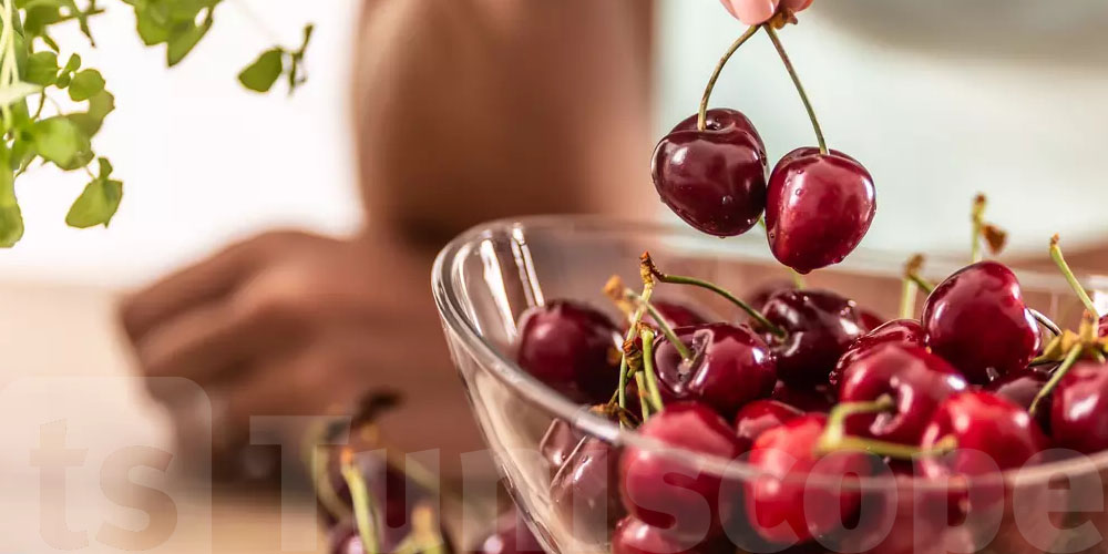 Cerises : le kilo grimpe jusqu’à 60 dinars en Tunisie