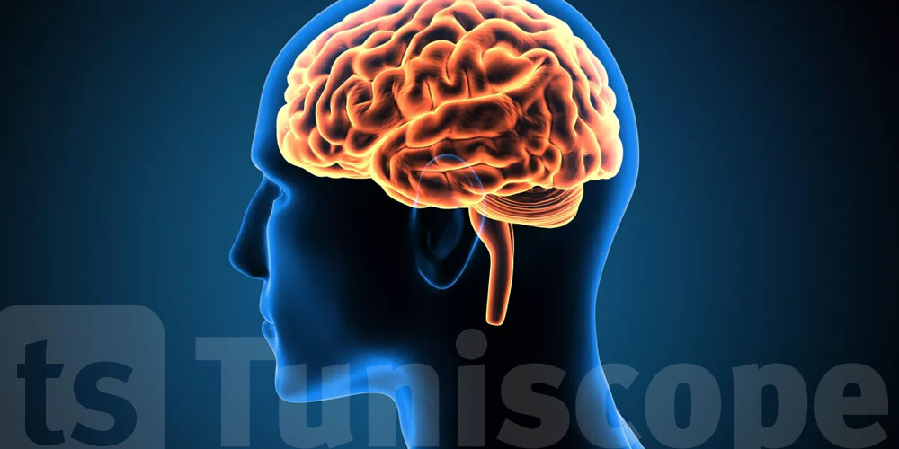 حركة مفاجئة تصدم الدماغ بطريقة إيجابية وتزيد قوة الذاكرة...اكتشفها