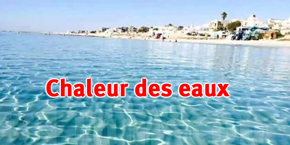La mer Méditerranée se réchauffe dangereusement… quelles conséquences pour la Tunisie ?