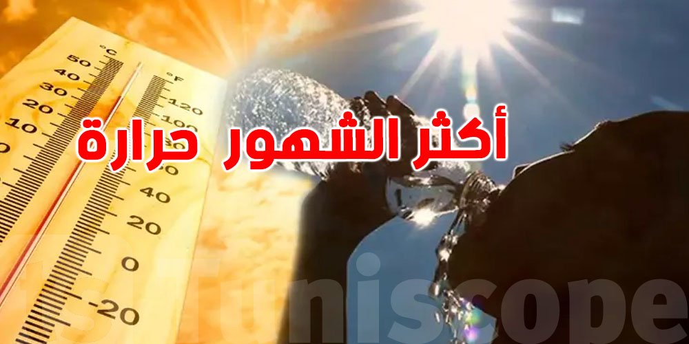 عاجل: جويلية 2025 ثالث أحر شهر في التاريخ بتسجيل حرارة قياسية في هذه الدولة بـ 50.5°م