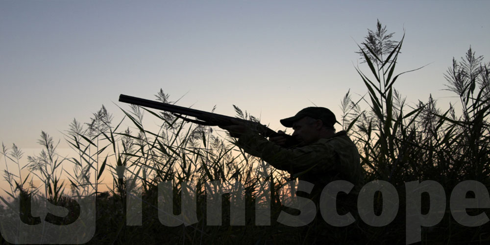 Chasse illégale : Un garde forestier victime d'un tir à Siliana