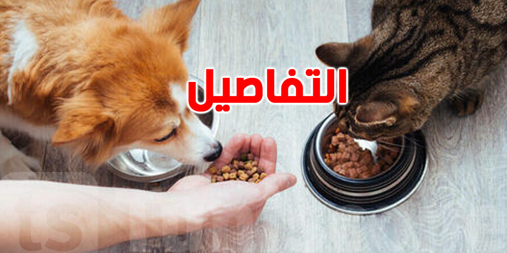 يهمّ كلّ تونسي: السفنارية والقرع والسلق مهمّين في وجبة حيوانك